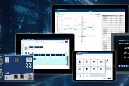Cold store temperature monitoring - how to meet sanitary standards in ...