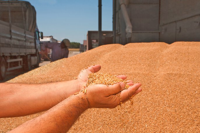 seed storage