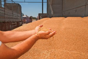 Monitoraggio della temperatura del silo