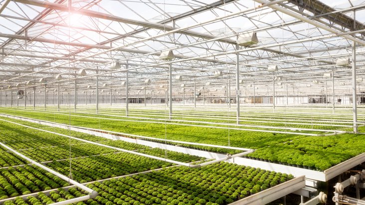Klimaattechniek in de tuinbouw