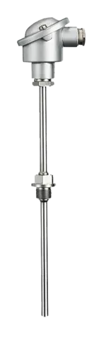 Screw-in RTD temperature probe - With terminal head form B