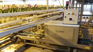 Accurate cleaning crucial for horticulture