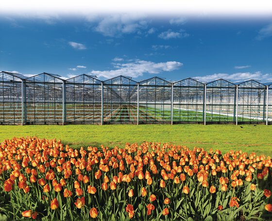 Sustainability in agriculture and horticulture. 