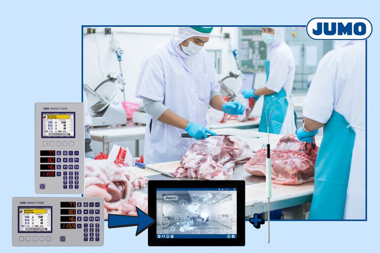 Temperature monitoring and control in the meat industry