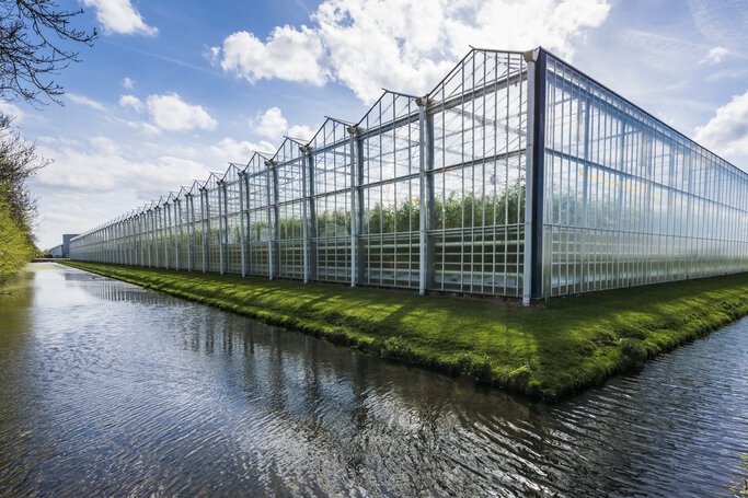 Dutch greenhouse horticulture Sustainability