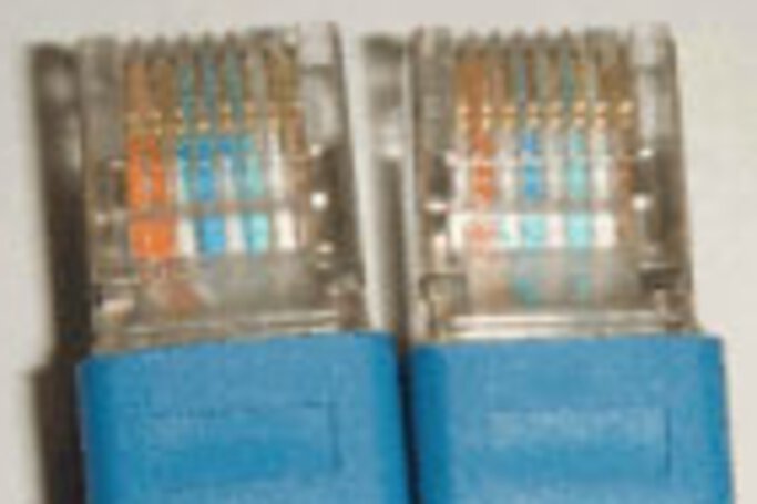 Patch cables can be identified by the two plug ends with untwisted wires.