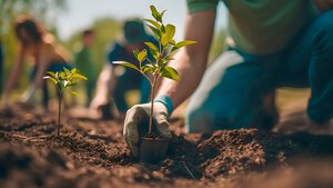 Optimal growth solutions