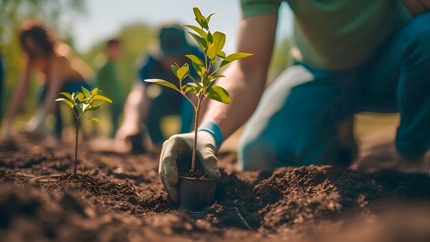 Automation in horticulture