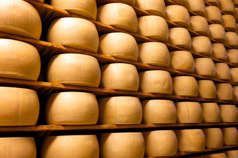 cheese production