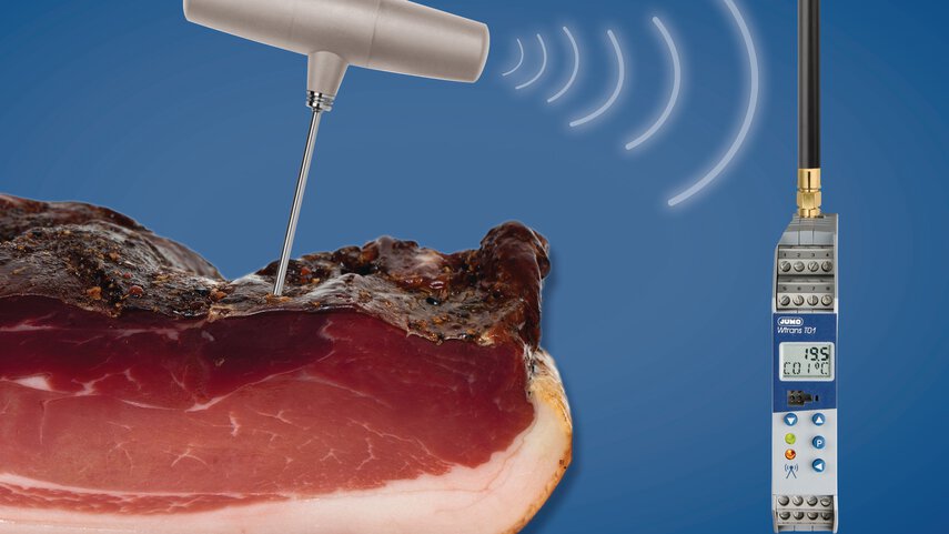 temperature sensors for smokehouses