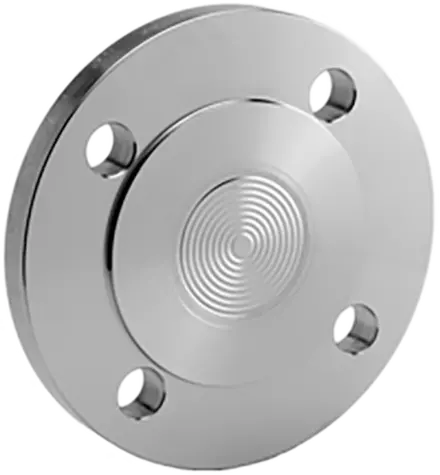 Diaphragm seal with flange connection - DIN EN 1092-1 with sealing strip type B1