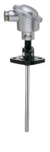 Push-in RTD temperature probe - With terminal head form B